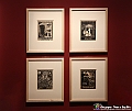 VBS_4840 - Mostra Escher